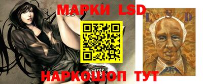 a pvp Славгород