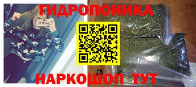 a pvp Славгород