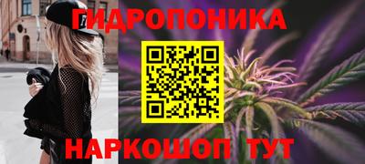 не бодяженный Сланцы