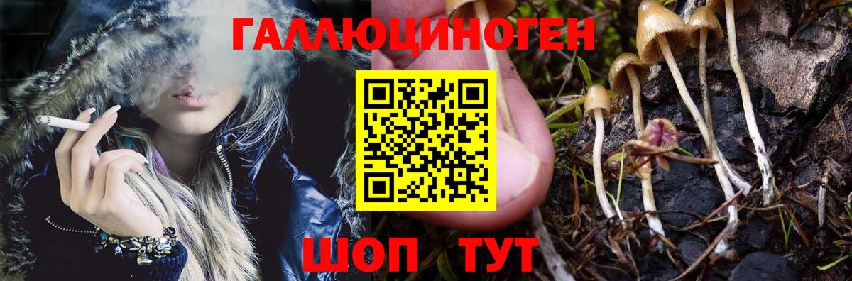 Псилоцибиновые грибы Magic Shrooms  Вход с VPN  Псилоцибиновые грибы мухоморы  Орёл 